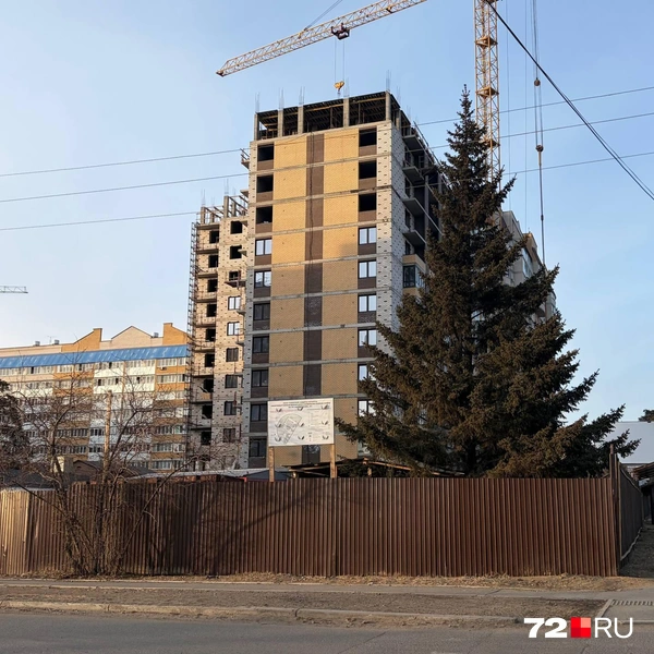 Источник: Дарья Макеева / 72.RU