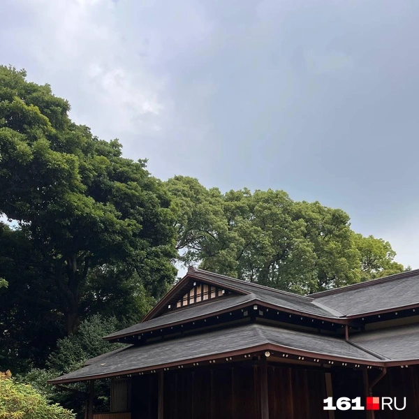 Источник: читатель 161.RU