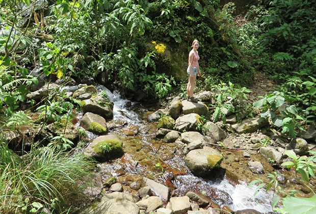 Пропавшие в джунглях: история жуткого и загадочного исчезновения туристок Крис Кремерс и Лисанн Фрон