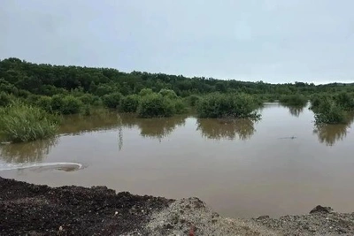 В Приамурье открыли размытую дорогу у села Хитровка