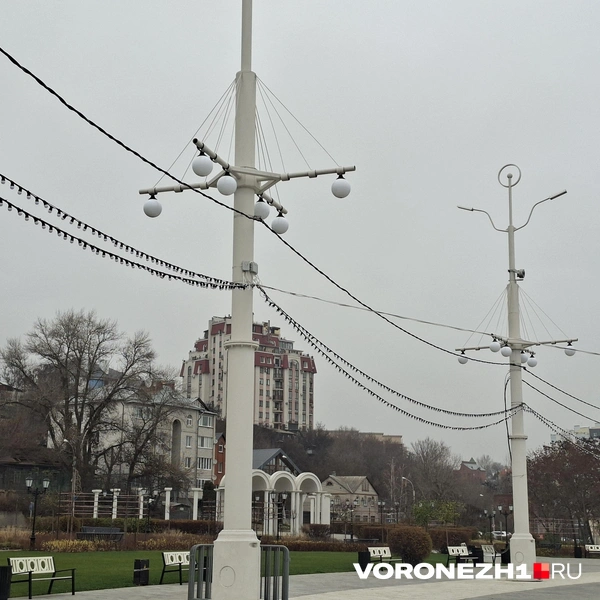 Источник: Алёна Воропаева / Voronezh1.ru