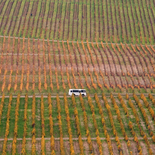 Источник: Андрей Белавин