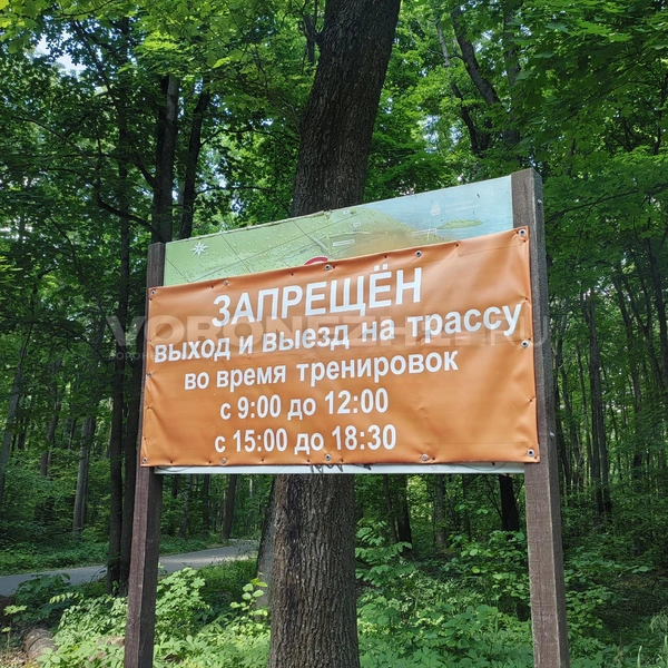 Источник: Андрей Пашинский / Voronezh1.ru