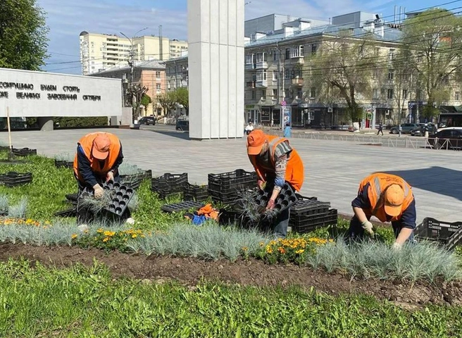 В Рязани продолжаются сезонные работы по благоустройству | ya62.ru