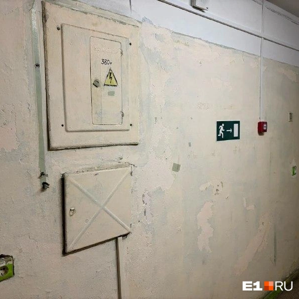 Источник: читательница E1.RU