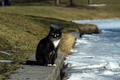 Апрель в Югре: тепло сменится холодом