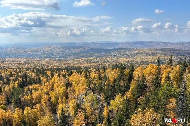 На тропе у «Черной скалы» сделаны несколько смотровых площадок | Источник: Татьяна Стриганова
