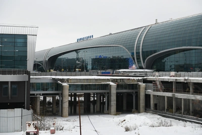 Domodedovo's only buyer: 'It's not worth that much'