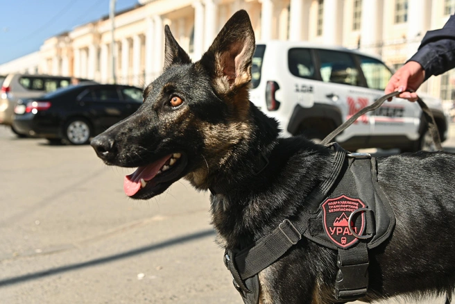 Источник: Максим Воробьев