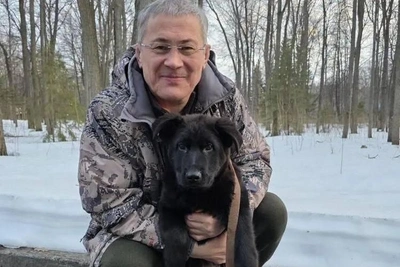 В семье Хабирова появился щенок немецкой овчарки