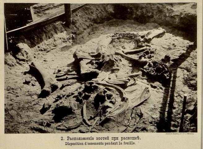Расположение костей при раскопках  | Источник: Павлова, М. В. О мамонте, найденном близ города Ярославля / Ежегодник геологии и минералогии России. Варшава: [б. и.], 1896–1897. Т. 1.