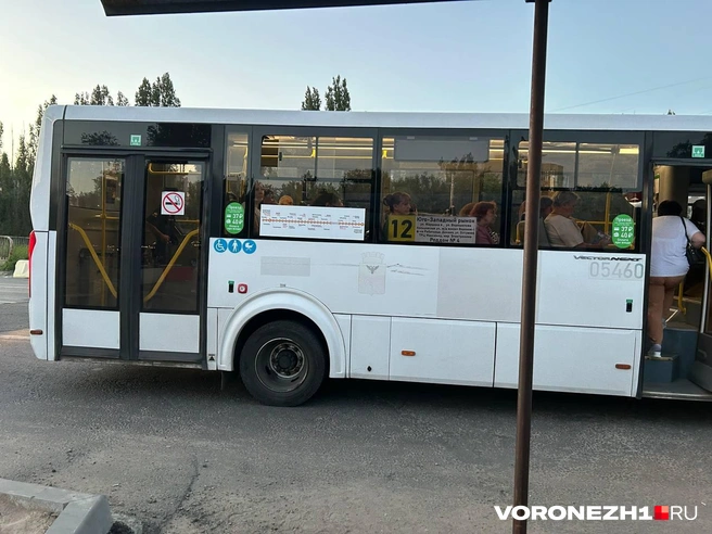 В таких автобусах оплата только у водителя | Источник: Мария Мишукова / Voronezh1.ru