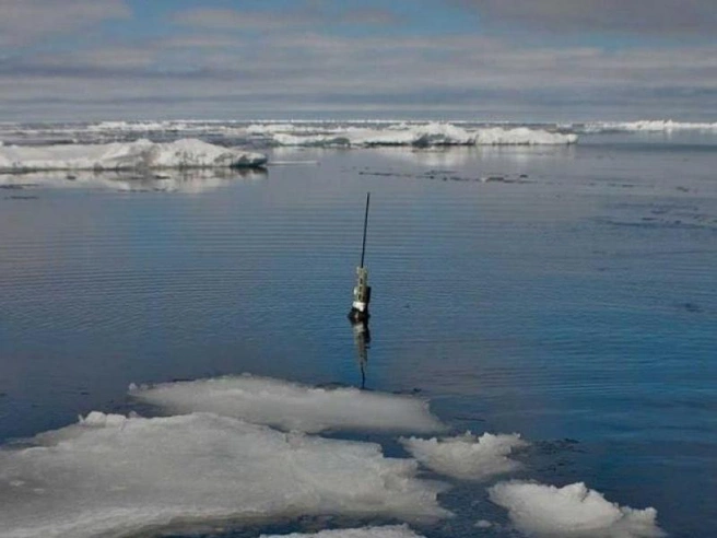 Буй-измеритель «Арго» | Источник: argo.ucsd.edu / Institution of Oceanography, UC San Diego