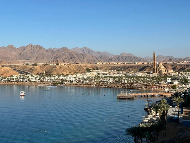 А вы бы расстроились из-за такого «продления отпуска»? | Источник: читатель 72.RU