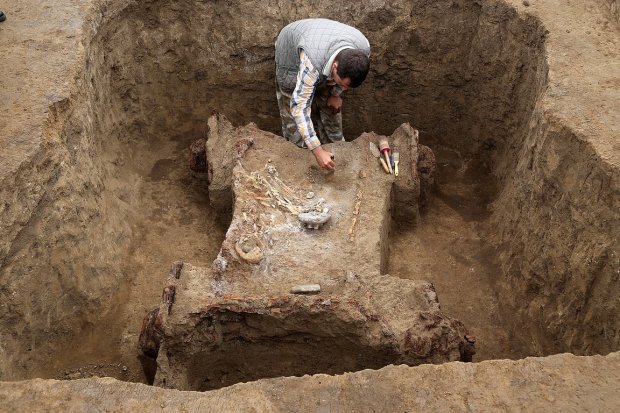 В Китае обнаружена 2500-летняя позолоченная колесница