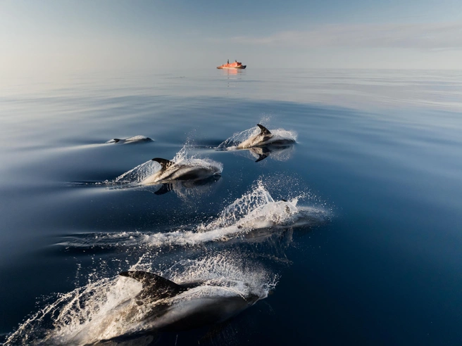 Вадим Махоров рекомендует его фильмы смотреть в кино, чтобы прочувствовать масштабы | Источник: Vadim Makhorov / t.me
