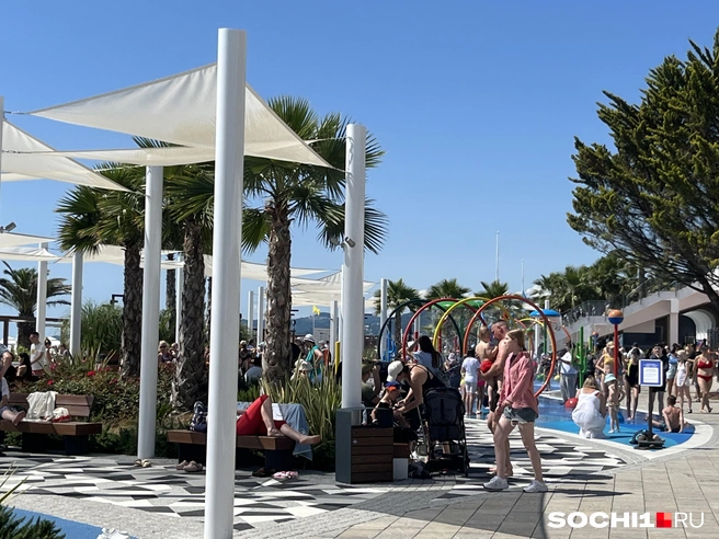 Генплан без ПЗЗ не может существовать | Источник: Анна Грицевич / SOCHI1.RU