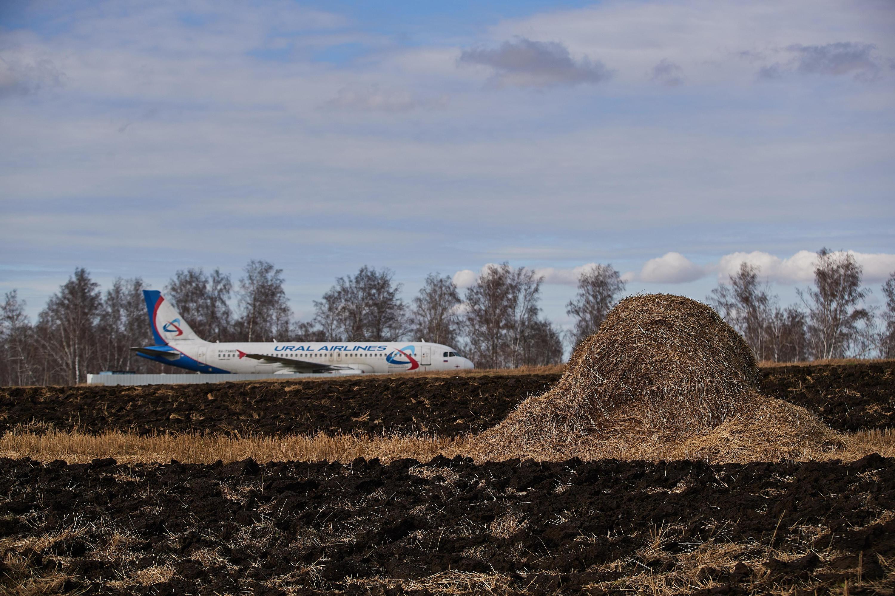 Опубликованы переговоры пилотов, посадивших Airbus в пшеничное поле под  Новосибирском - 15 апреля 2024 - НГС.ру