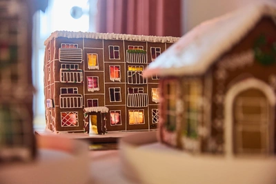 Novosibirsk Family Bakes Hundreds of Gingerbread Houses, Even a Khrushchyovka