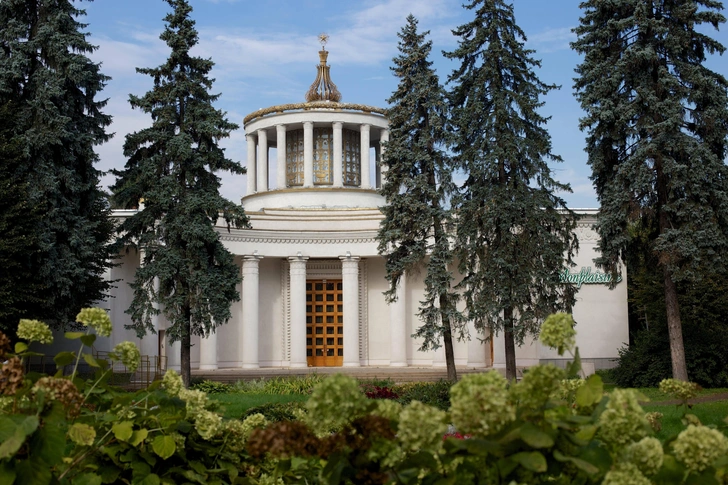 Источник: Геннадий Грачев