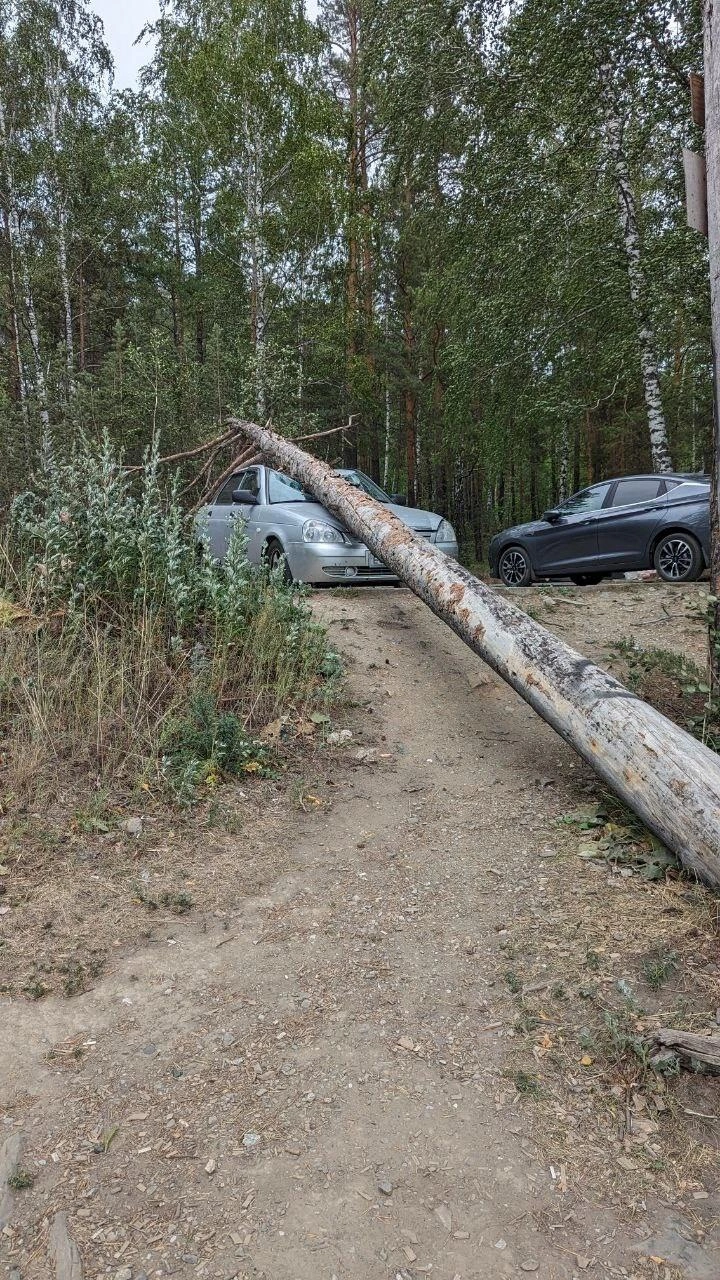 Упало дерево на машину на берегу озера Тургояк в Челябинской области - 13  июля 2023 - 74.ру