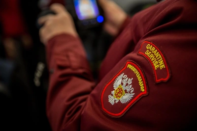 Энтеровирусная инфекция подтверждена в лагере «Чкаловец»