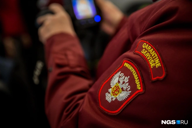 Роспотребнадзор заключил акт о превышении уровня шума | Источник: Александр Ощепков / NGS.RU
