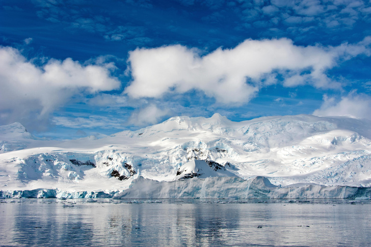 В чем разница между Антарктикой и Антарктидой?