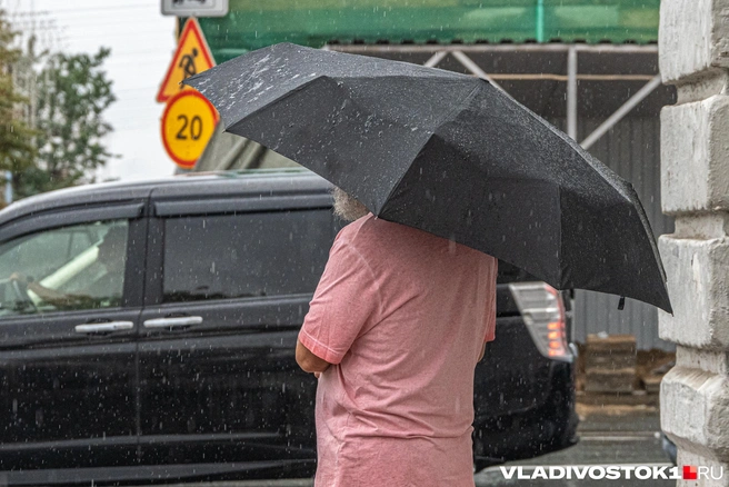 До +20 °C днем и +1 °C ночью | Источник: Елена Буйвол / VLADIVOSTOK1.RU