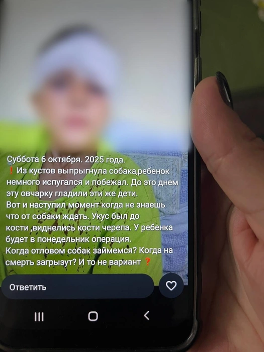 Фотография разлетелась в Сети | Источник: Nadega_News / Telegram-канал