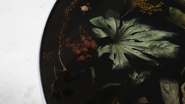 Вышло дополнение к коллекции Flora Noir Марсин Русак