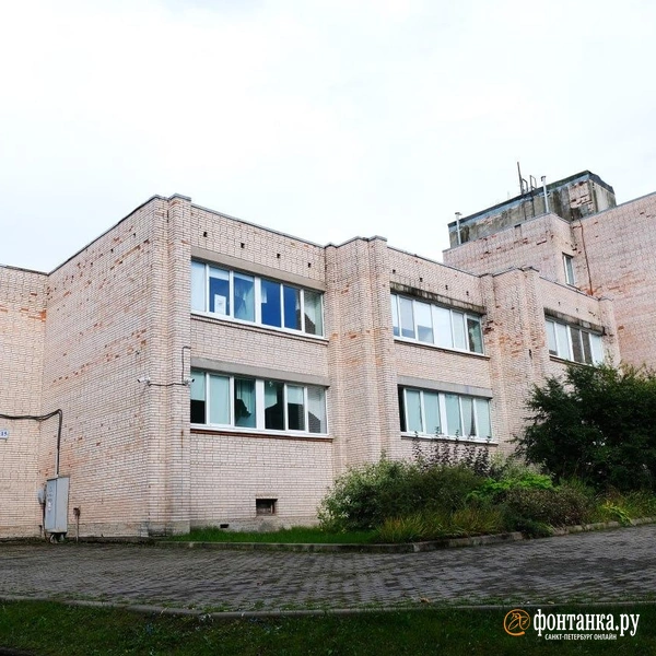 Источник: Анжела Мнацаканян / «Фонтанка.ру»