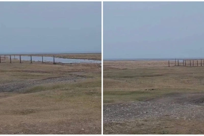 На берегу Байкала огородили участки с нарушениями