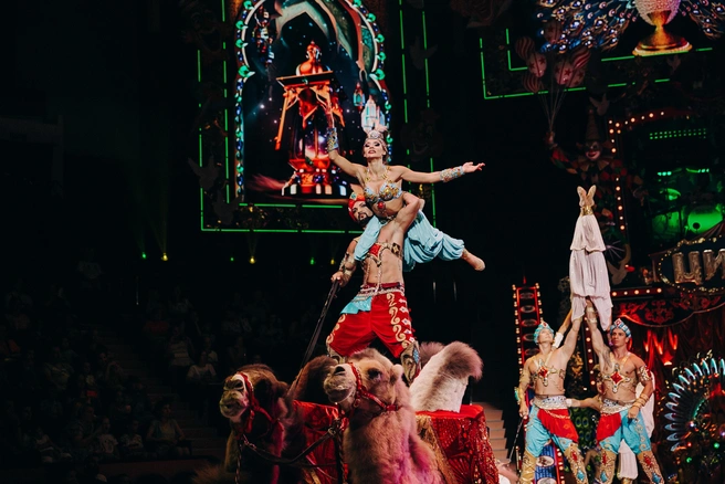 Источник: «Королевский цирк»