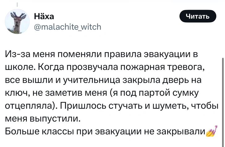 Источник: X (Twitter)