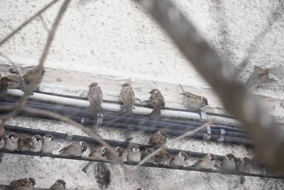 Ветер во Владивостоке достигает 25 метров в секунду