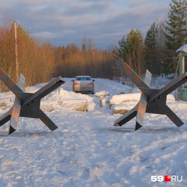 Ежей в Перми мы не видели, но запросто прифотошопили | Источник: Марина Романова