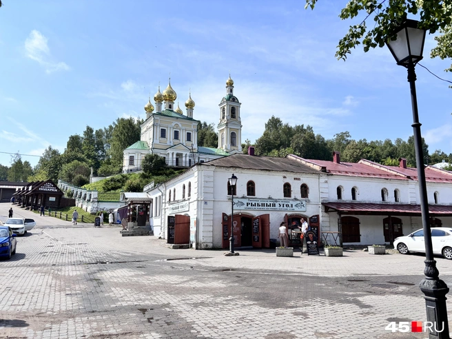 Источник: Юлия Король / 45.RU