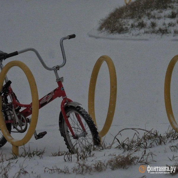 Источник: Михаил Огнев / «Фонтанка.ру»