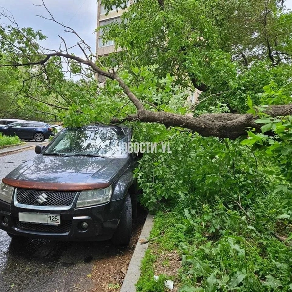 Источник: vl.ru