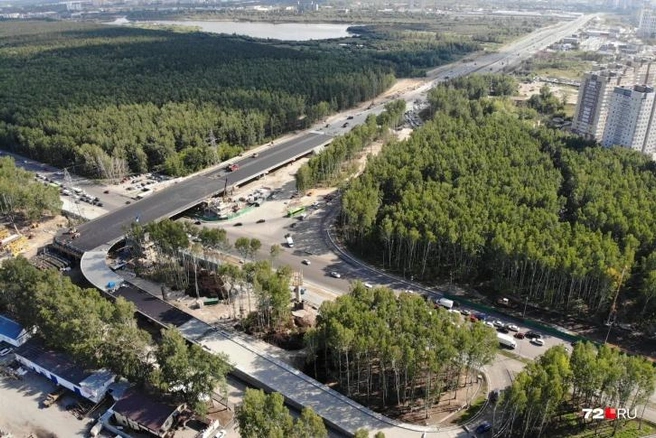 Видите огромный зеленый кусок в верхней части фотографии? Тот самый парк, в первозданном виде  | Источник: Семен Громов / 72.RU