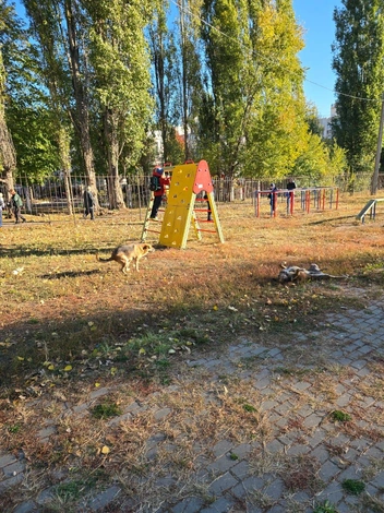 Видимо, по мнению чиновников, так реализуется принцип «всё для детей». | Источник: Читатель Voronezh1.ru