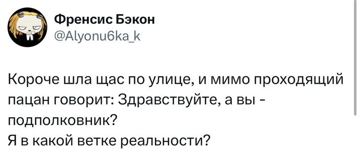 Источник: X (Twitter)