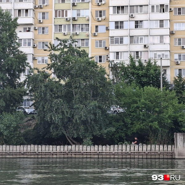 Источник: Максим Дмитриев / 93.RU