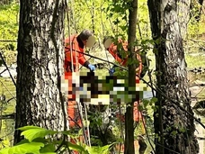 Две школьницы пропали в Измайловском парке Москвы: одну нашли мертвой, другая — в реанимации