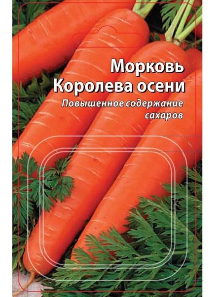 Морковь «Королева осени», «Ваше хозяйство»