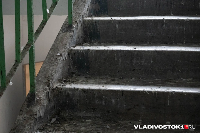 Рассказали, куда обращаться, если нашли труп | Источник: Елена Буйвол / VLADIVOSTOK1.RU