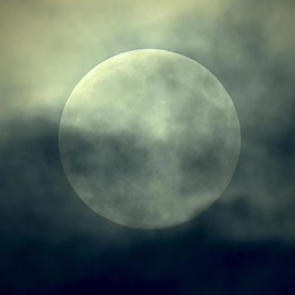 Россия, Москва | Источник: Sefa Karacan/Anadolu via Getty Images