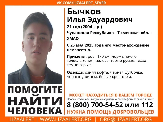 Источник: ЛизаАлерт / Vk.com 