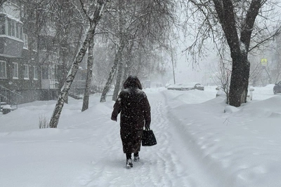 В Кургане на начало января ожидаются тепло и снег